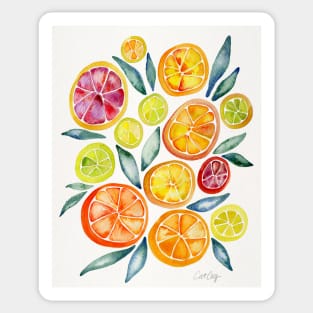 Citrus Slices Sticker